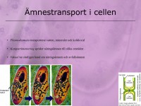 /album/a8-cellen/a5-cellen-018-jpeg/